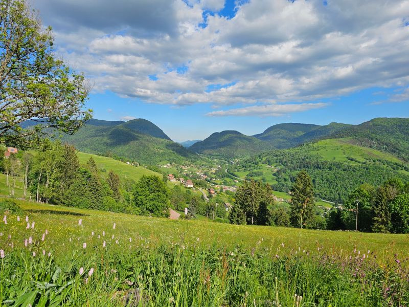 actu