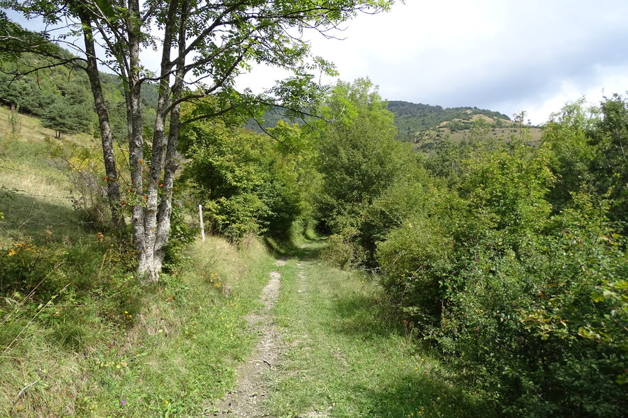 parcours