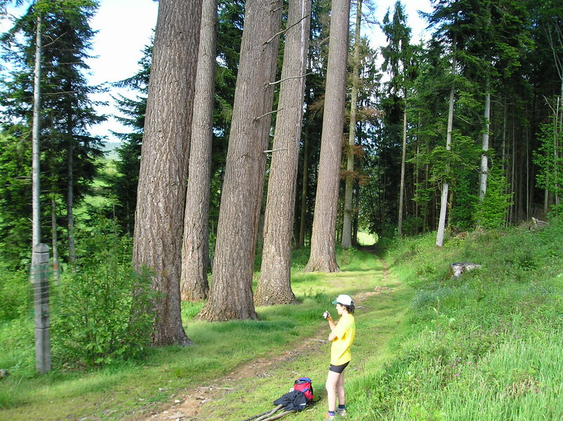 parcours