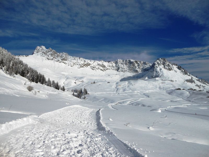 parcours