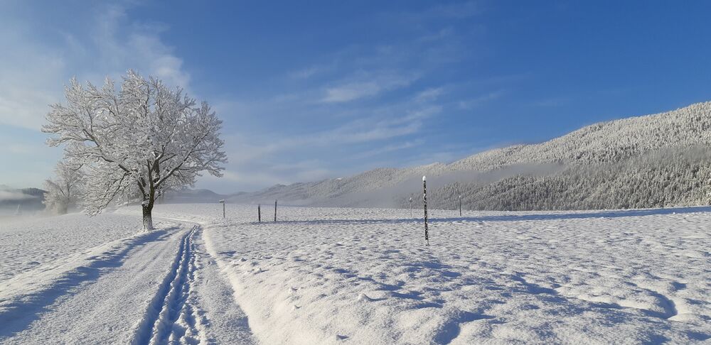 parcours