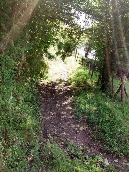 parcours
