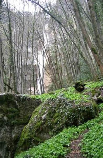 parcours