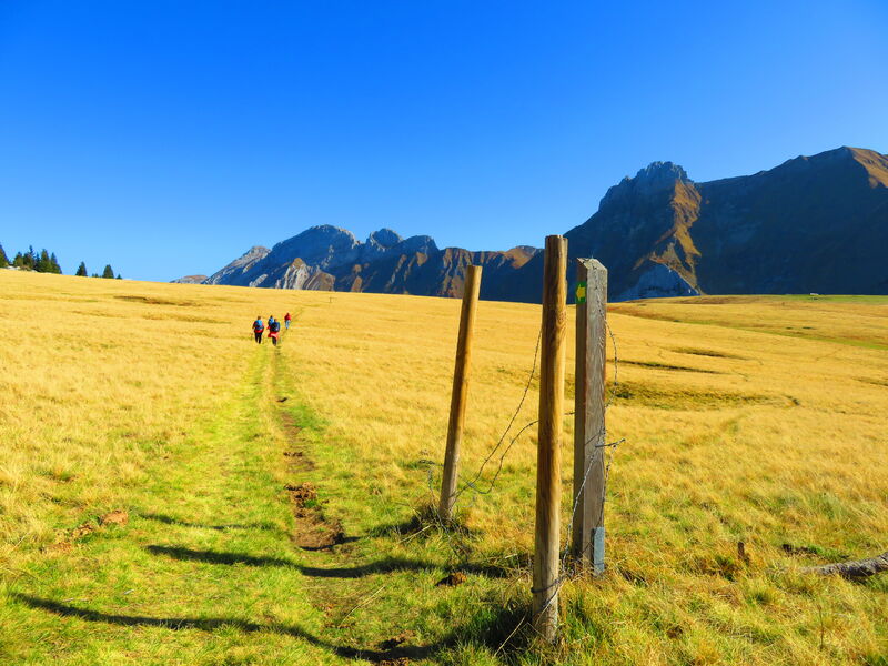 parcours