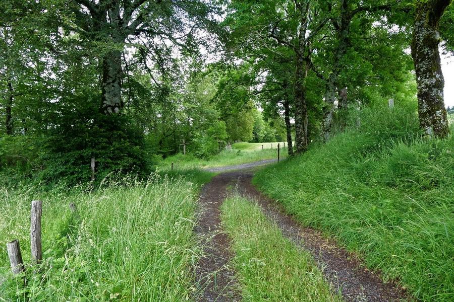 parcours