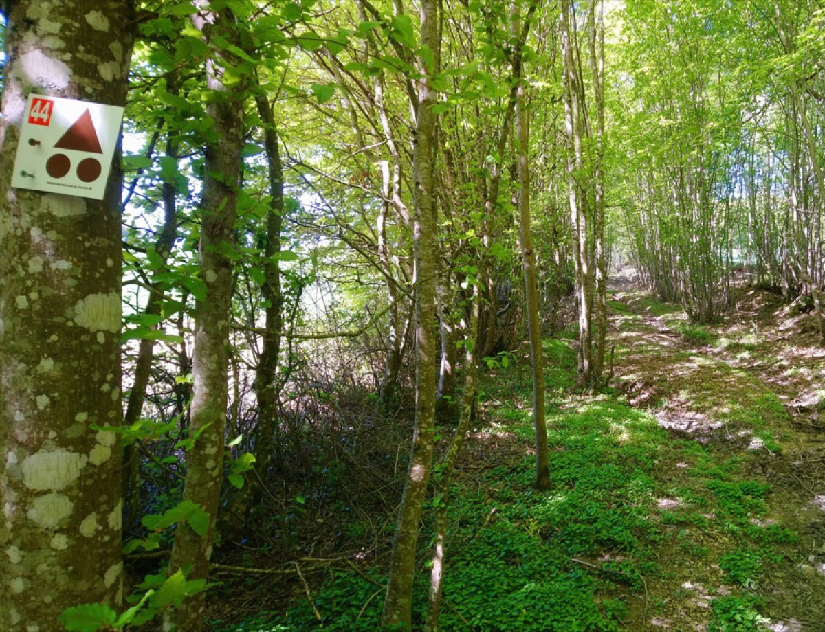 parcours