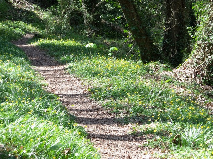 parcours