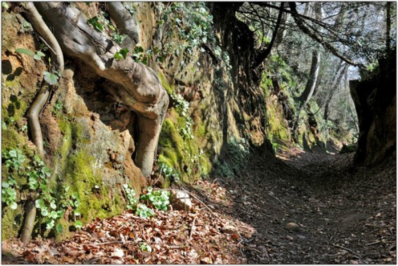parcours