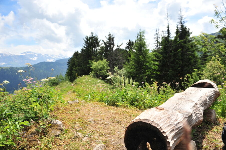 parcours