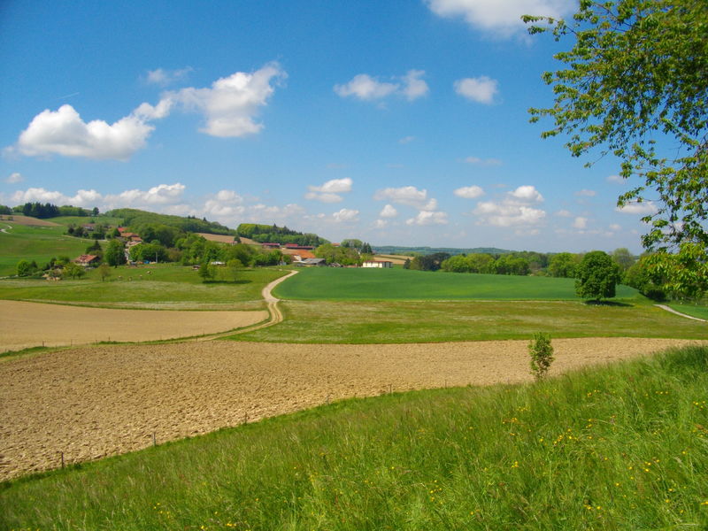 parcours