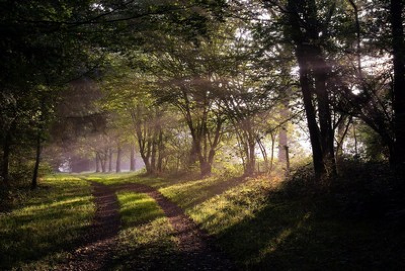 parcours