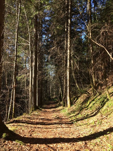 parcours