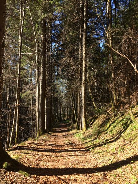 parcours