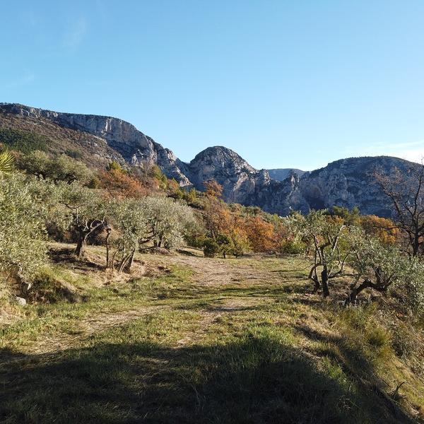 parcours