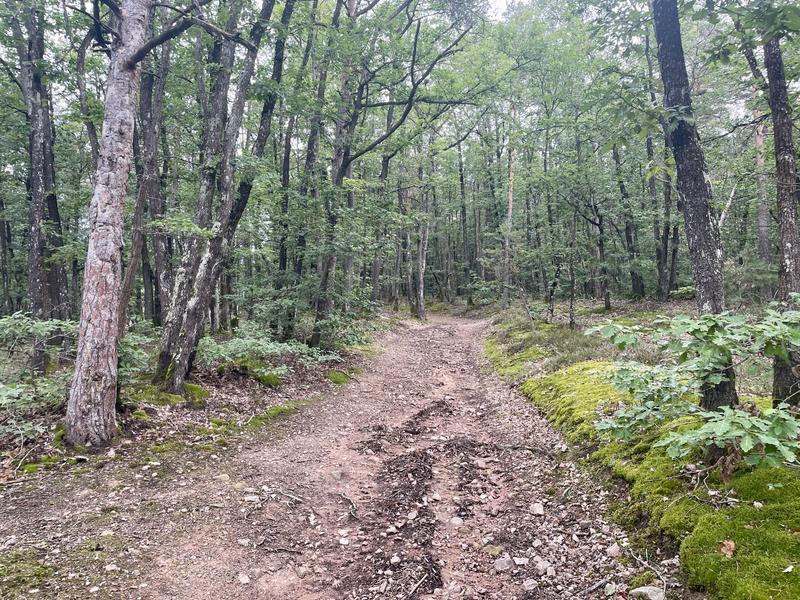 parcours