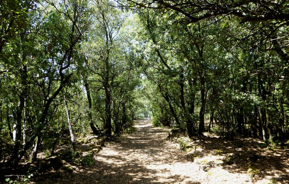 parcours