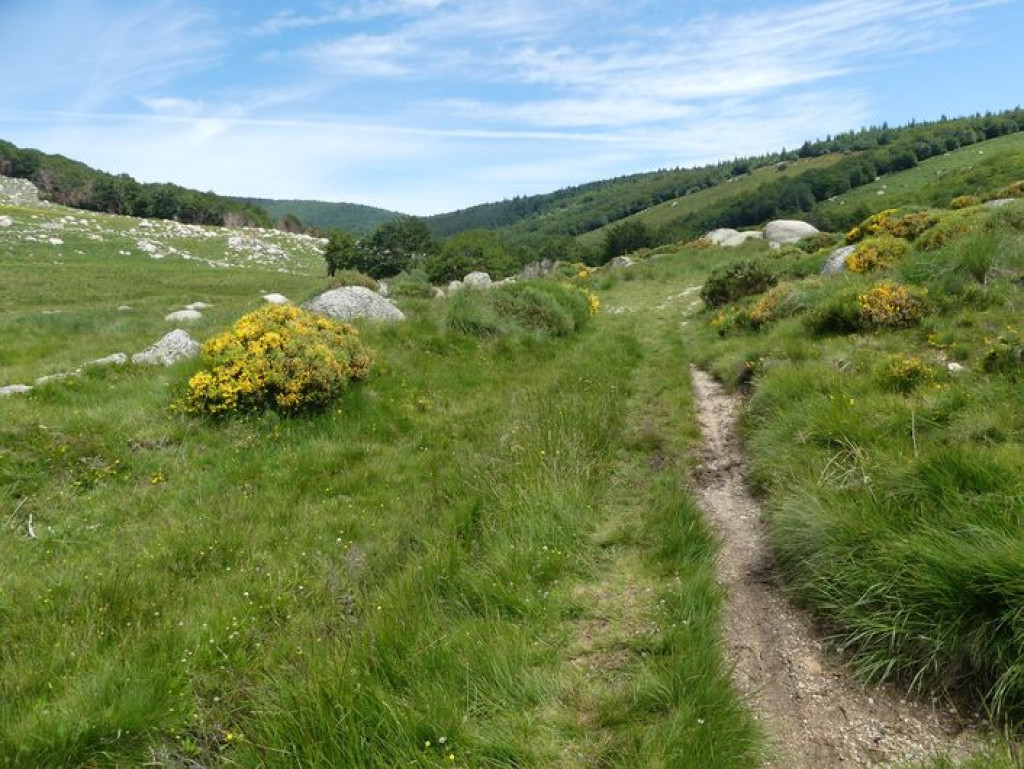 parcours