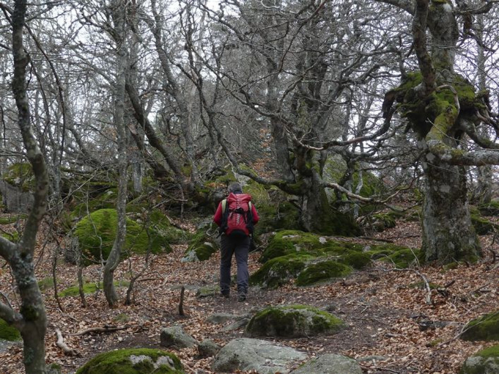 parcours