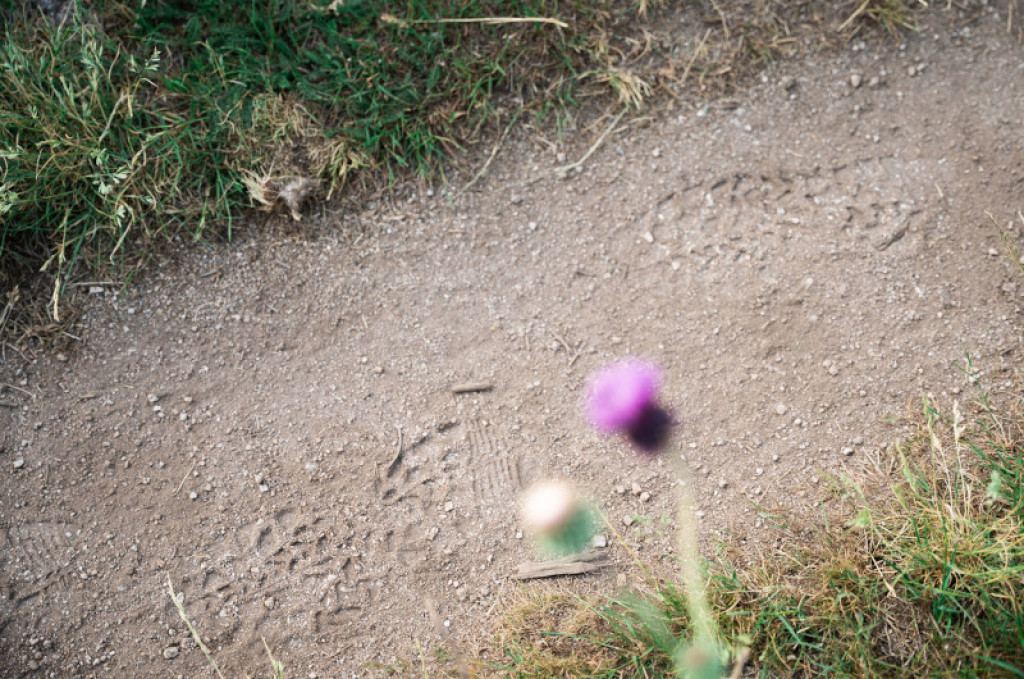 parcours