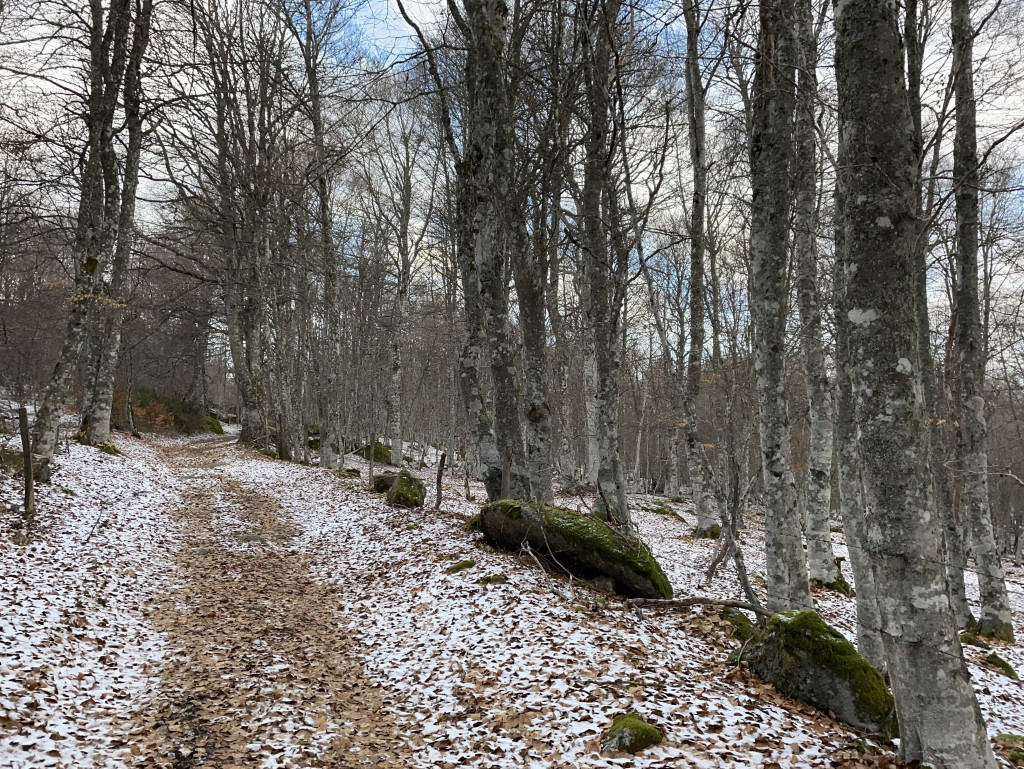 parcours