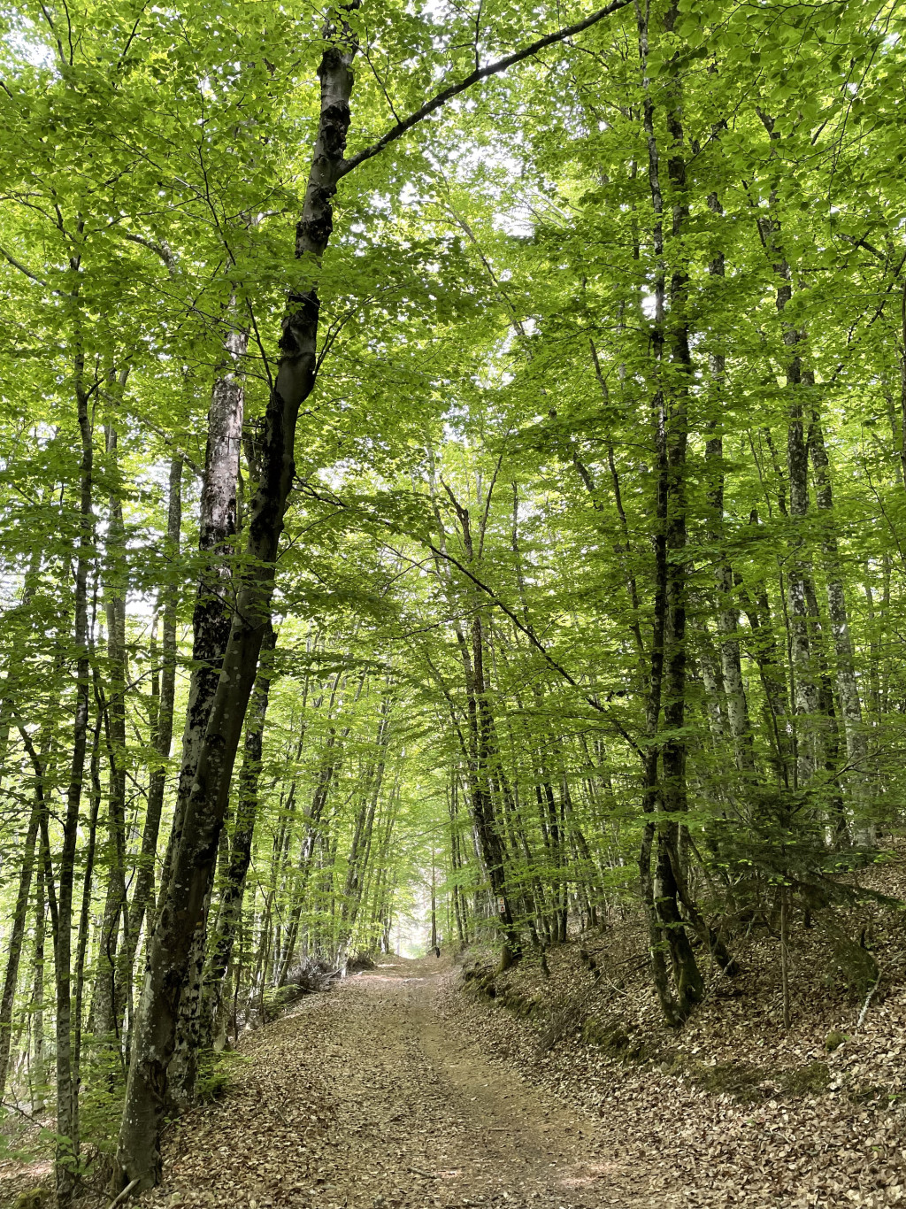 parcours