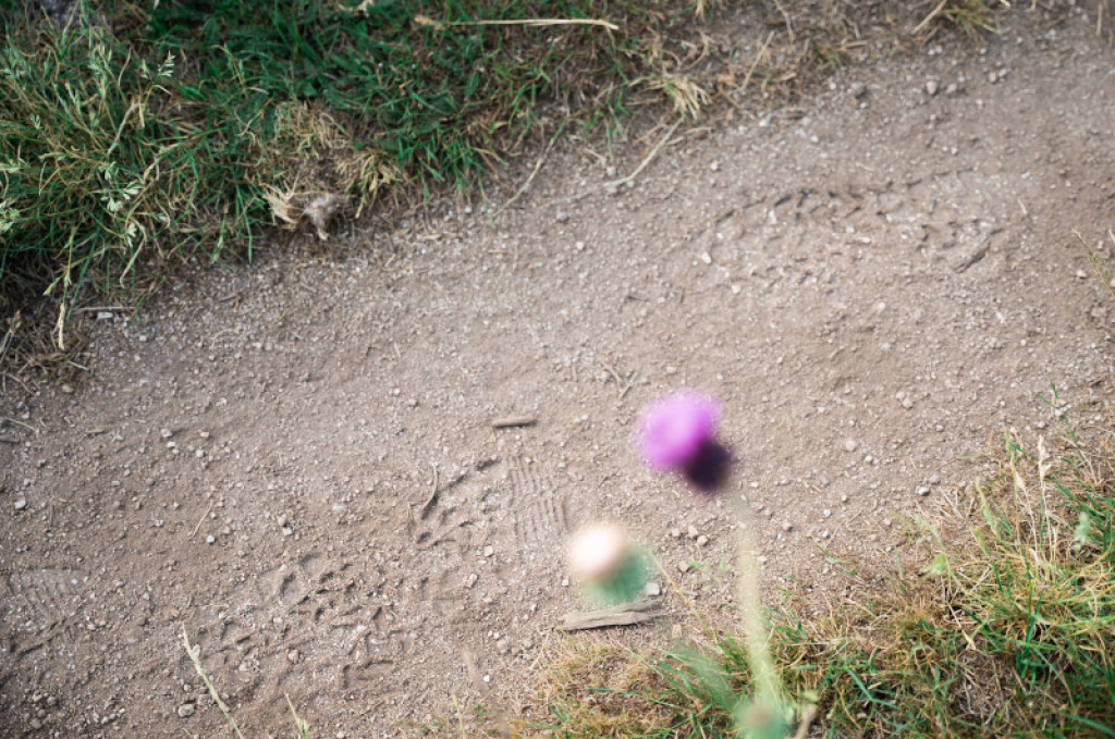 parcours