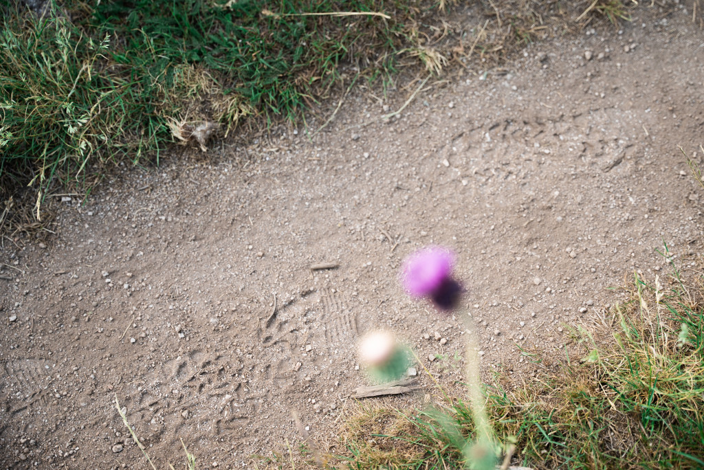 parcours
