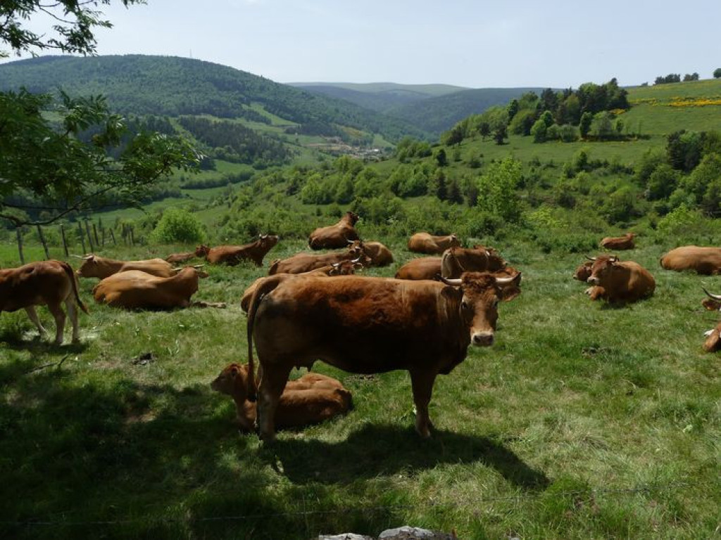 parcours