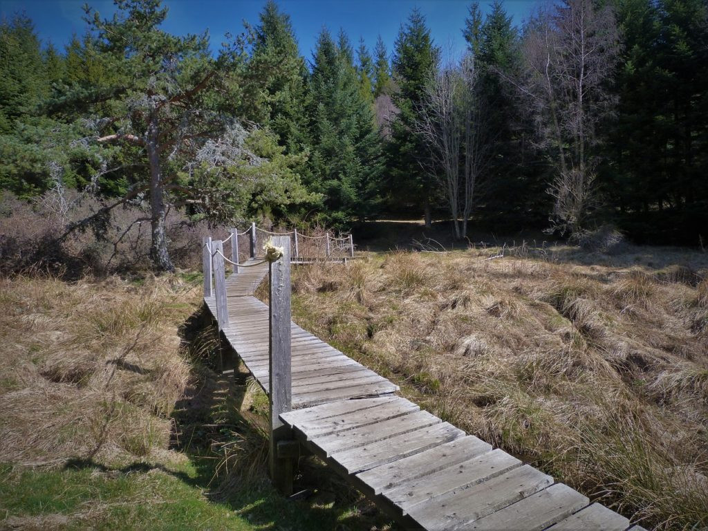 parcours