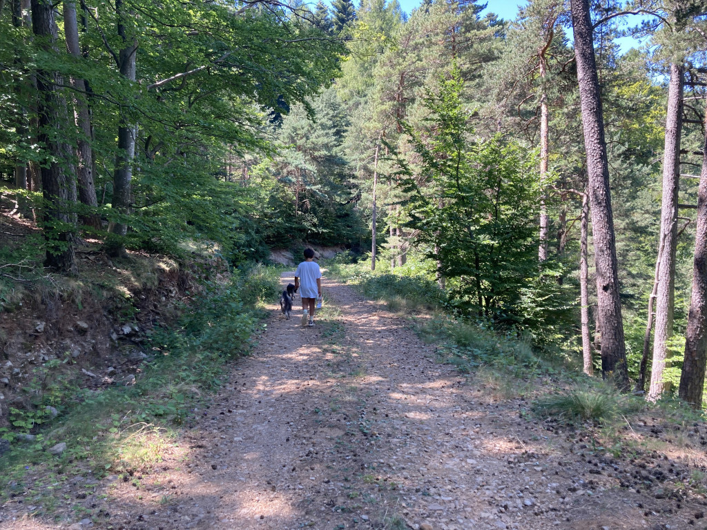 parcours