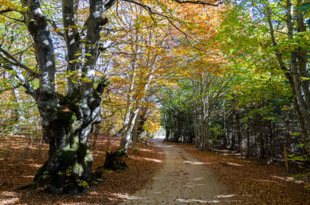 parcours
