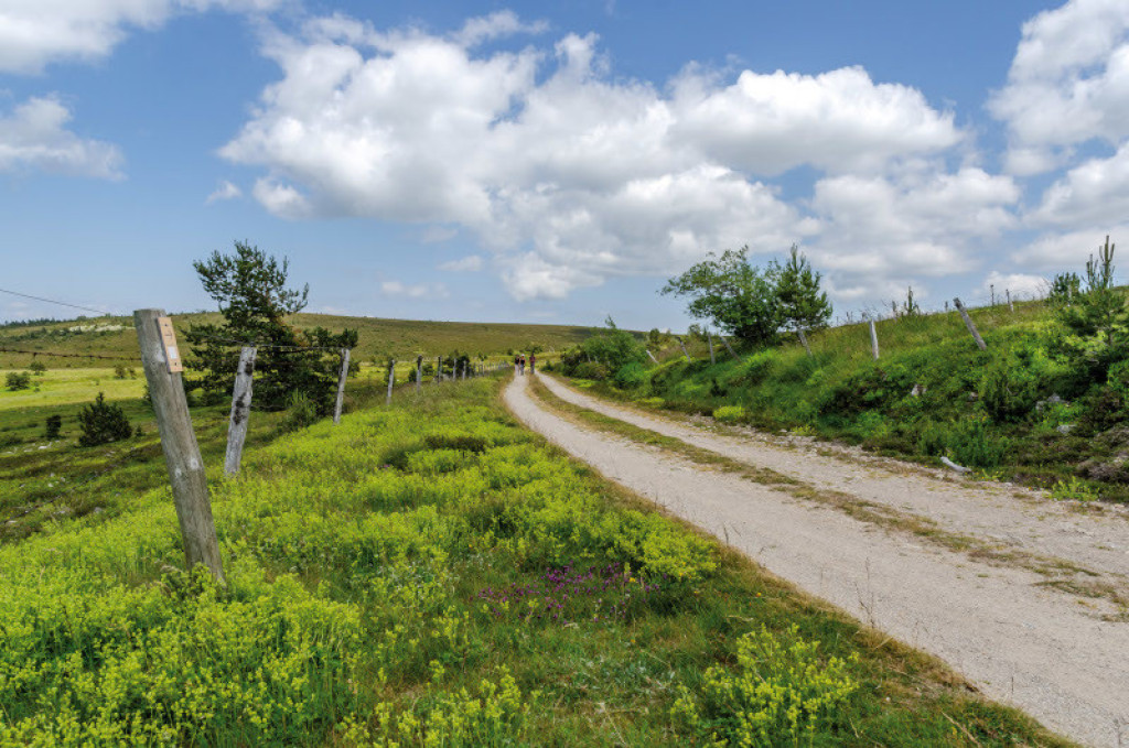 parcours