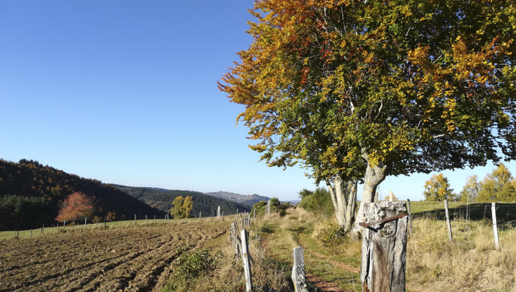 parcours