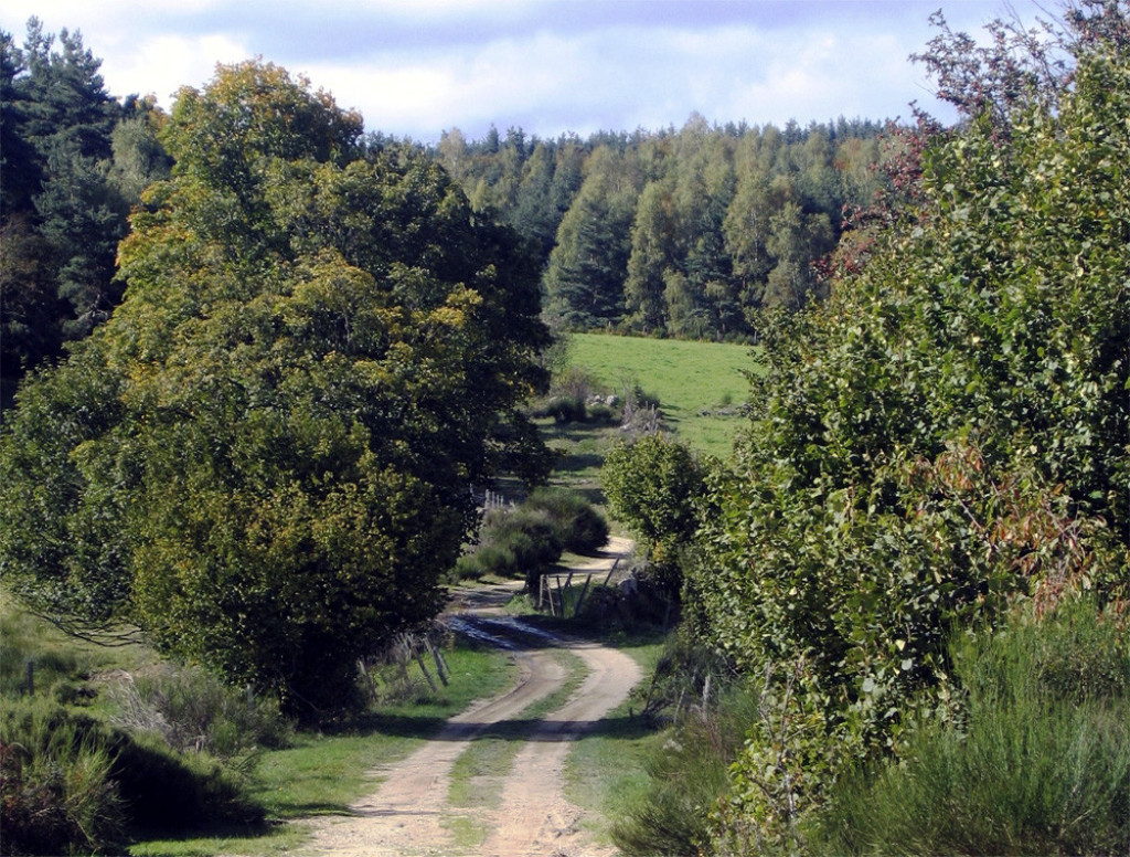 parcours