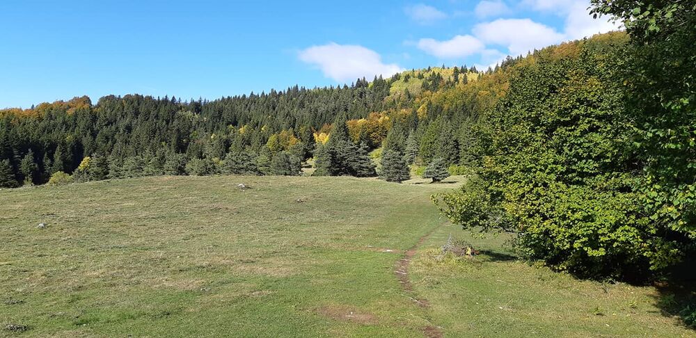 parcours