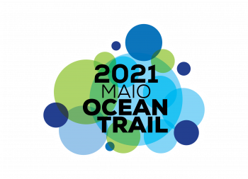 logo_trace