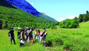 151946