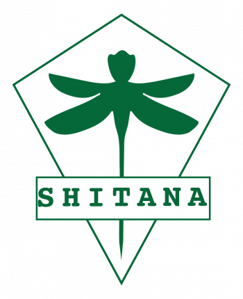 logo_trace