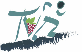 logo_trace