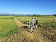 310911