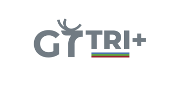 logo_trace