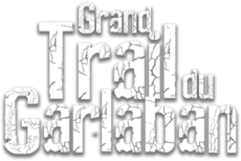logo_trace
