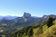 334667