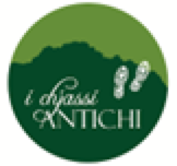 logo_trace