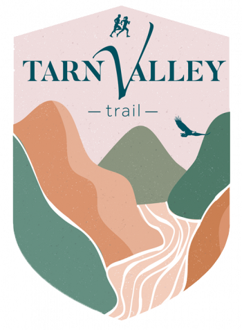 logo_trace