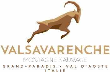 logo_trace