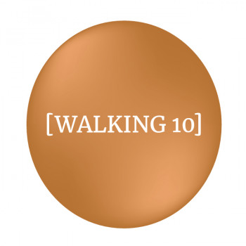 logo_trace