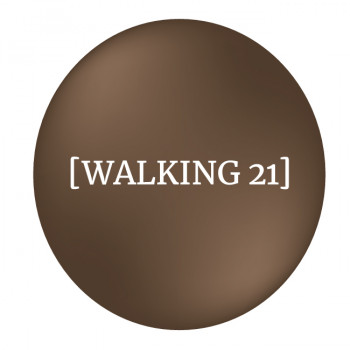 logo_trace