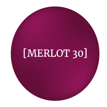 logo_trace