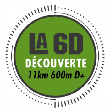 logo_trace